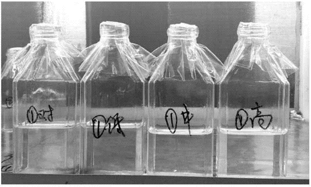 PG电子游戏官网