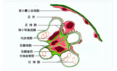 PG电子·游戏官方网站